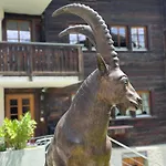 Tiny House Ibex Apartmán