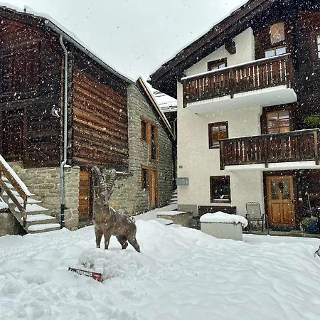 Apartment Tiny House Ibex *