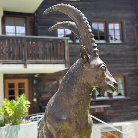 Tiny House Ibex شقة